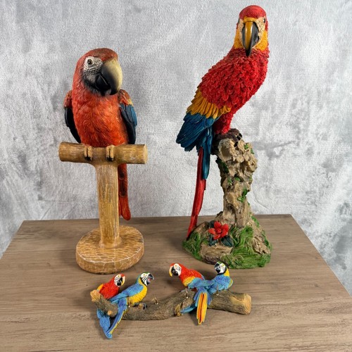 Lotto statuine pappagallo