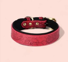 collare morbido con disegni