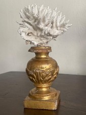 CORALLO Bianco su base in legno dorato 700 porta palma Alzata soprammobile