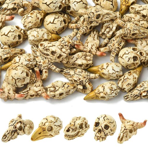 Decorazione espositore teschio