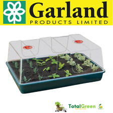 Serretta germinazione semi