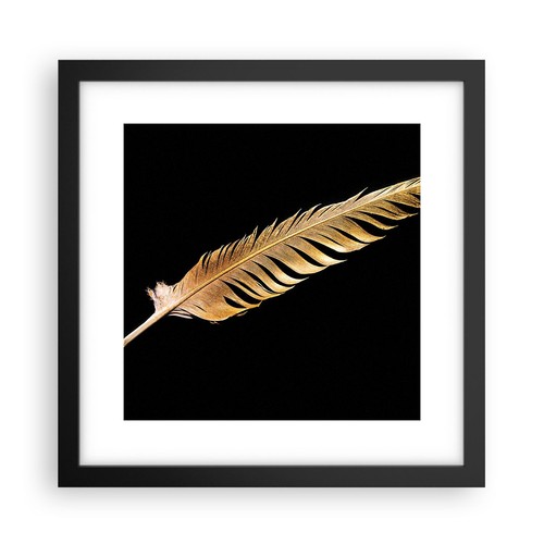 Poster 30x30cm dorato piuma - dorato,