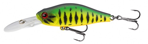 Daiwa tournament scouter esche - tournament,