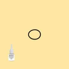 Cinghia Olio = Kit 5 per