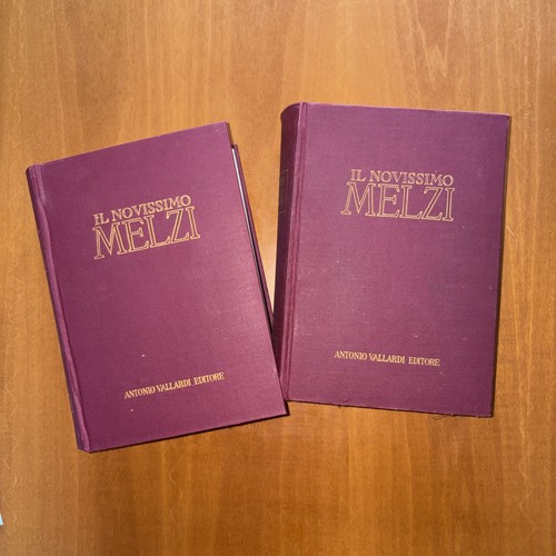 Novissimo melzi dizionario - il,