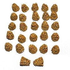 25-200 pezzi da 5 g cono