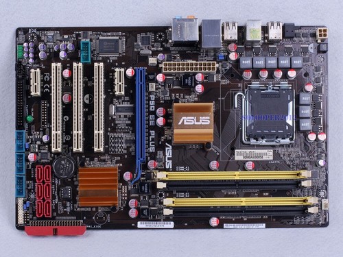 Asus p5q plus rev scheda - se,