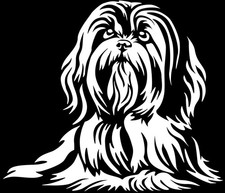 Adesivo LHASA APSO - adesivo