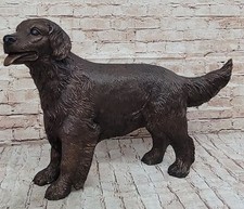 Labrador Retriever Caccia