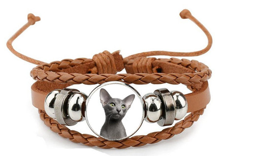 Oriental cat grey pet - grey, brown