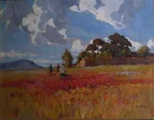 Angiolo volpe papaveri - , volpe,