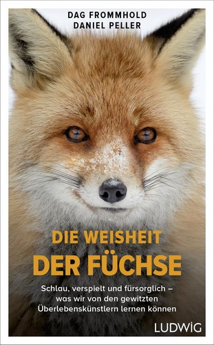 Dag frommhold die - weisheit, der