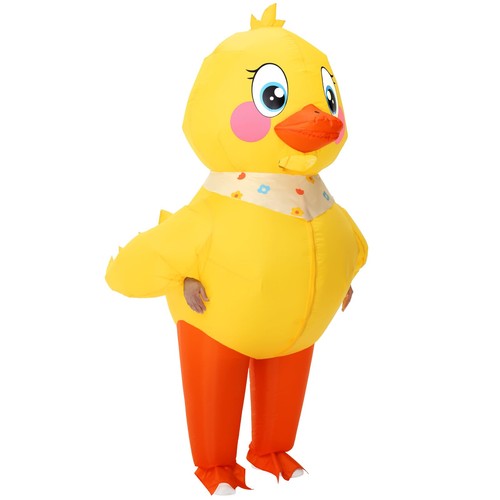 Xyjkidses costume anatra - costume,