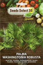 Semi / Seeds PALMA Washington