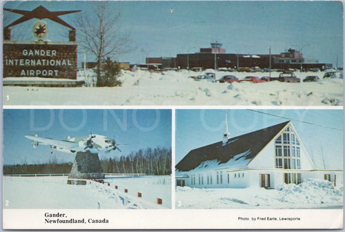 Gander vintage postcard - vintage,