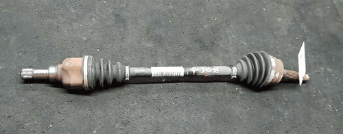 9803959580 semialbero ant - semialbero,