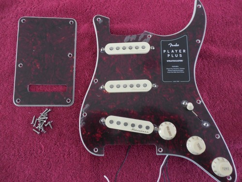 Lettore fender stratocaster - lettore,