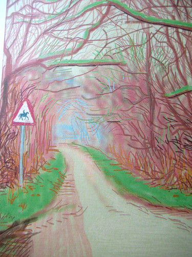Litografia david hockney - david,