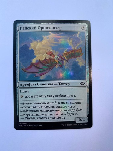 Foil ornitottero russo - ornitottero,