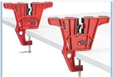 Visiera Sci e Snowboard per