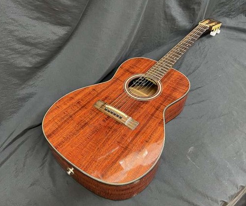 Takamine 406caratteristico - takamine, pt-406caratteristico