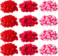 3000 Pezzi Petali Rosso