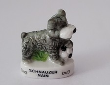 Fava cane schnauzer - schnauzer, nano