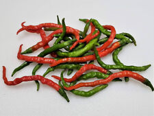 20 semi peperoncino ITORI