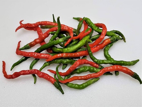 Semi peperoncino itori - 20,