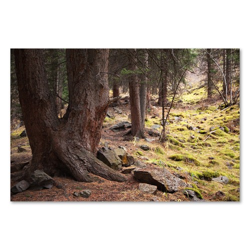 Postereck 1239 poster - , tela