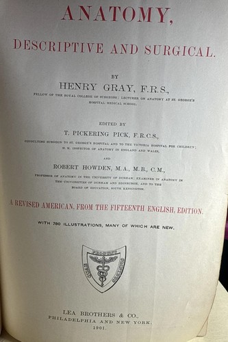 Gray anatomy descriptive and - anatomy,