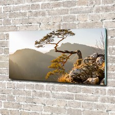 Quadro in plexiglas® stampa