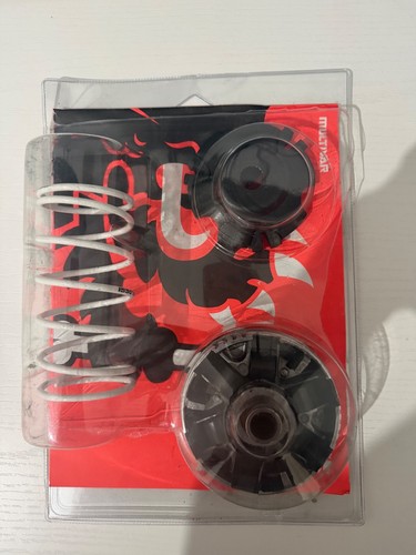 Variatore malossi piaggio - variatore,