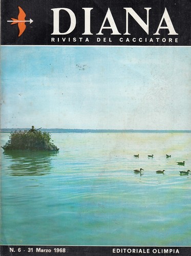 Rivista diana n 6 - lr-,