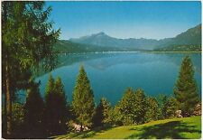 LAGO DI S.CROCE - FARRA