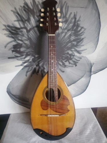 Suzuki mandolin 226 violin - suzuki, n.226