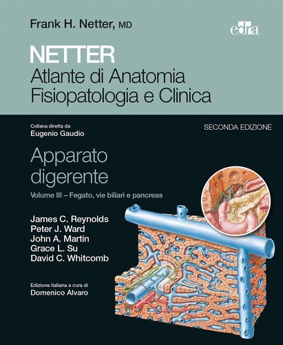 Netter atlante anatomia - atlante,
