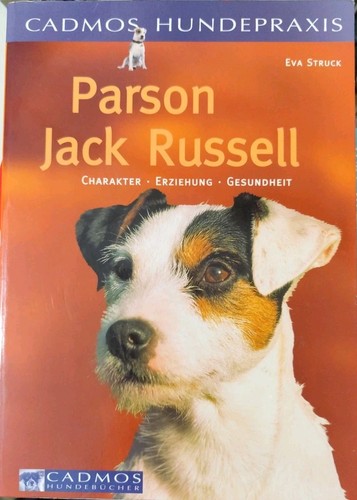 Parson jack russell - jack,
