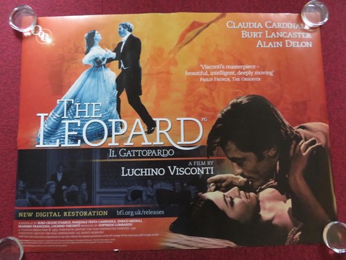 The leopard quad - the, uk