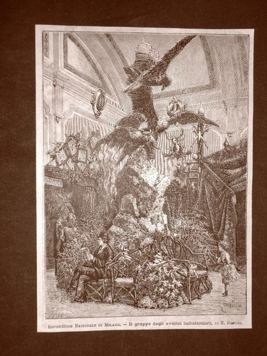 Esposizione nazionale - esposizione, di