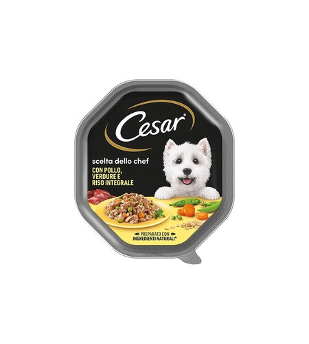 Alimento umido per cani cesar - alimento,