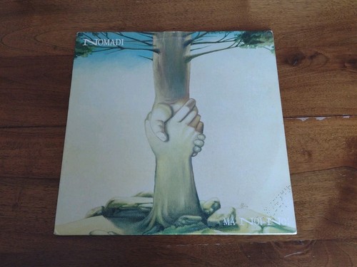Nomadi noi disco vinile - disco,