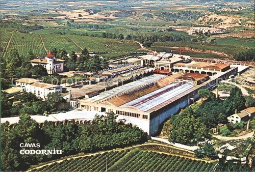 Codorniu ripresa aerea cavas - codorniu,
