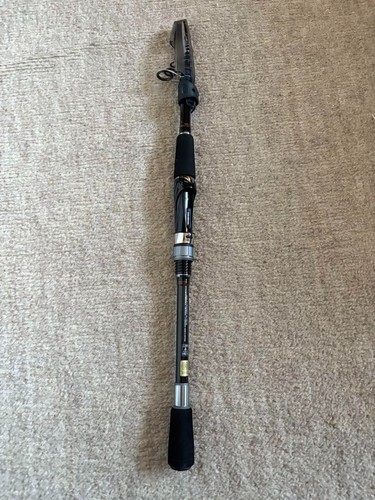 Canna spinning telescopica - canna,