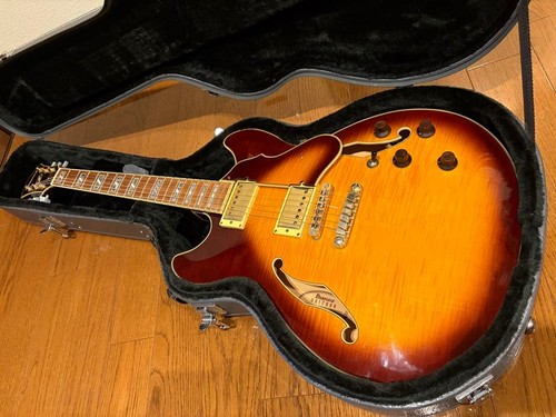 Custodia rigida per chitarra