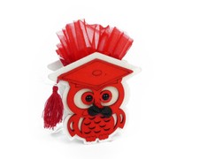 Bomboniere Laurea Gufo In