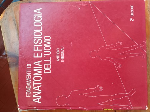 Fondamenti anatomia e - anatomia,