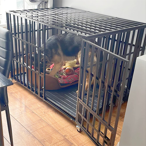 Gabbia per cani xxl mobile - gabbia,
