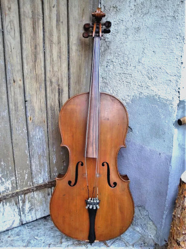 Laboratorio violoncello