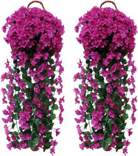 Glicine Artificiale, Fiori Di